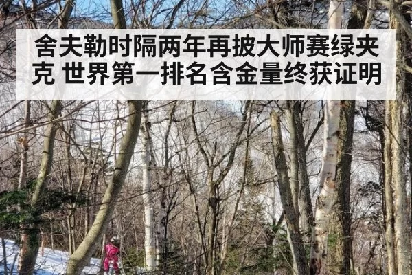 舍夫勒时隔两年再披大师赛绿夹克 世界第一排名含金量终获证明