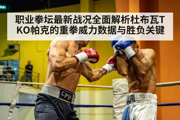heavyweight boxing fight