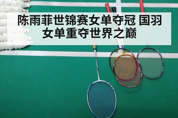 badminton match court