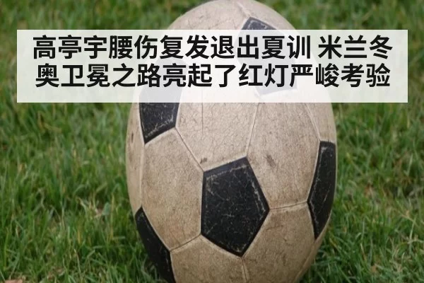高亭宇腰伤复发退出夏训 米兰冬奥卫冕之路亮起了红灯严峻考验